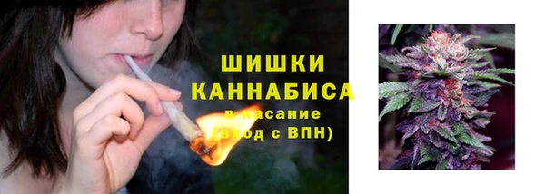 ПСИЛОЦИБИНОВЫЕ ГРИБЫ Алексеевка