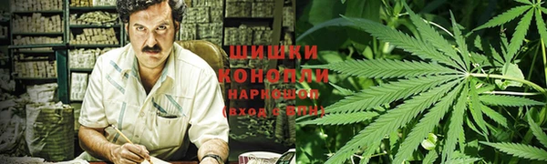 ПСИЛОЦИБИНОВЫЕ ГРИБЫ Алексеевка