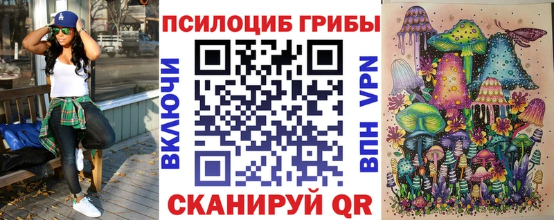 Псилоцибиновые грибы MAGIC MUSHROOMS  где продают наркотики  Электрогорск 